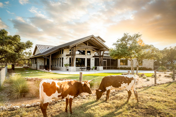 Ranch landscape with livestock